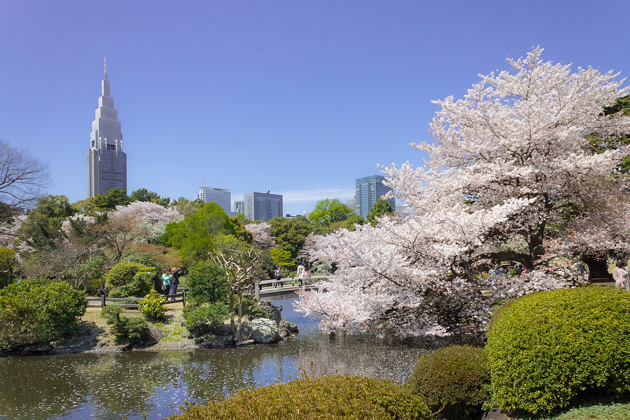 3 of the Most Beautiful Parks and Gardens You Need to Visit in Tokyo